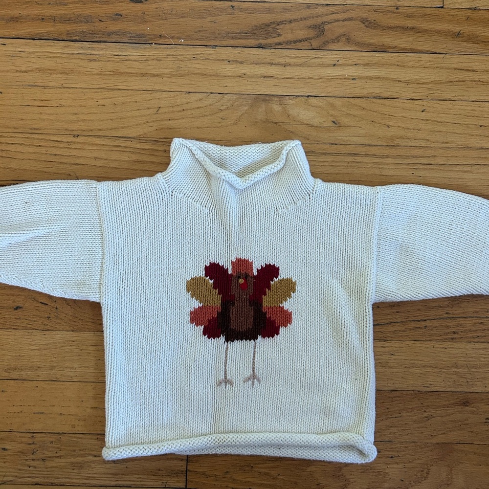 Roll Neck Cozy Cream Turkey Knit Sweater for Kids